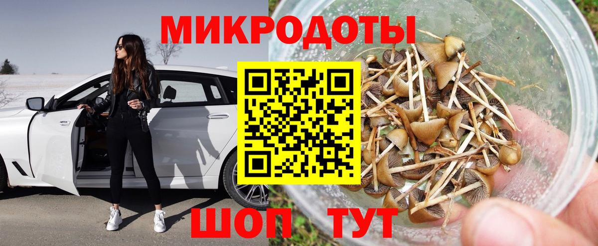 Вышний Волочёк  Псилоцибиновые грибы MAGIC MUSHROOMS  Вход с VPN 
